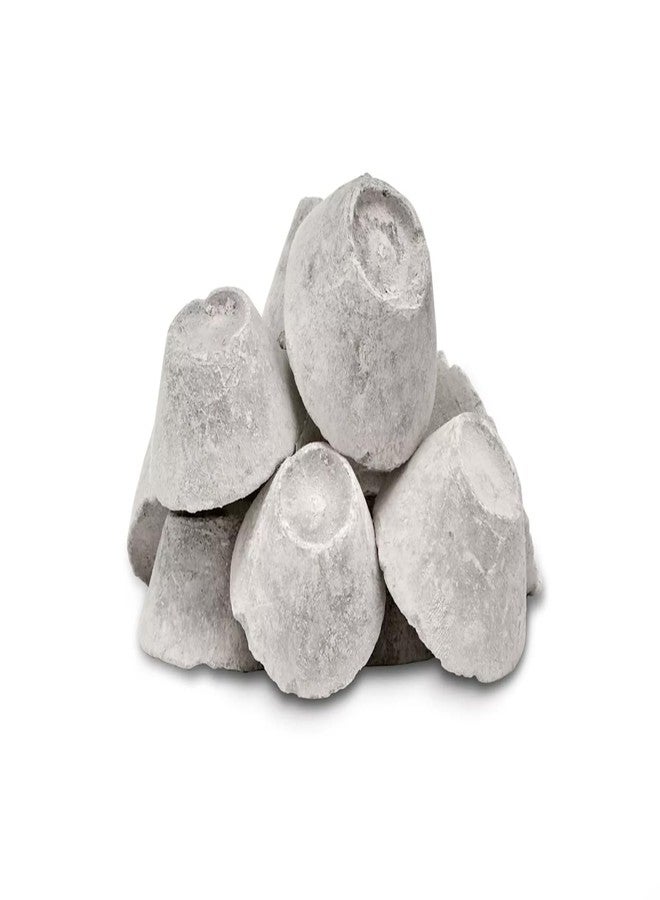 REEFSMART AQUADOMES Large Heavy Coral Frag Plugs Mounts, 10 Pack - Image 3